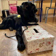 277003481_2146450098848871_8870259969873587149_n