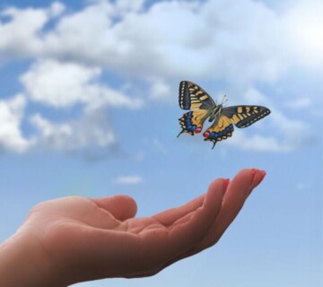 Vukovarski leptirići trebaju vašu pomoć