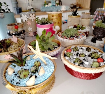 FB_IMG_1775548247059